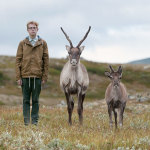 Philip kanwischer photography Sweden taking a stand reindeer caribou
