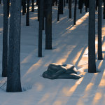 Philip kanwischer photography