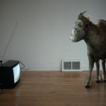 Philip kanwischer photography on the other side photo manipulation
